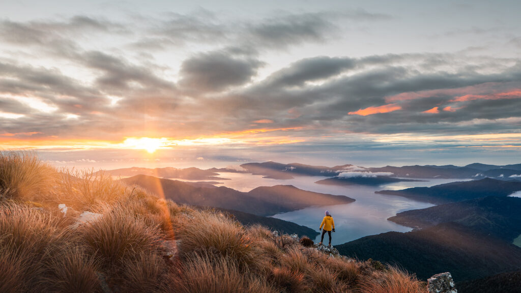 Roady at Mt Stokes, Marlborough Sounds