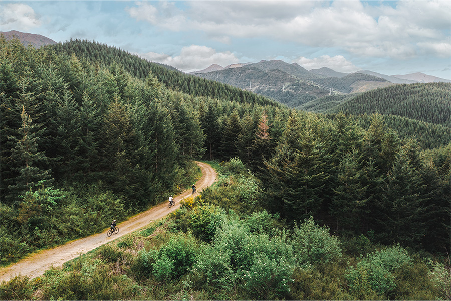 Hanmer Springs mountain biking